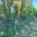 travaux paysagers auch