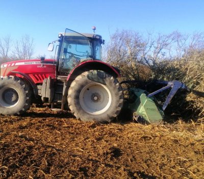 Broyage Forestier Sur Tracteur Fonsorbes 31470 Truilhe Tp