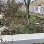 protection berge enrochement pavie 32550 Gers