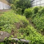 debrousaillage cours d eau pavie 32 Gers