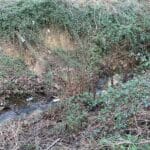 entretien berge pavie 32 Gers