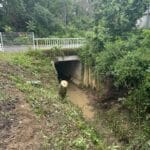 travaux cours d eau pavie 32 Gers