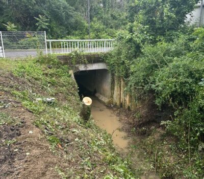 Travaux Cours D Eau Pavie 32 Gers